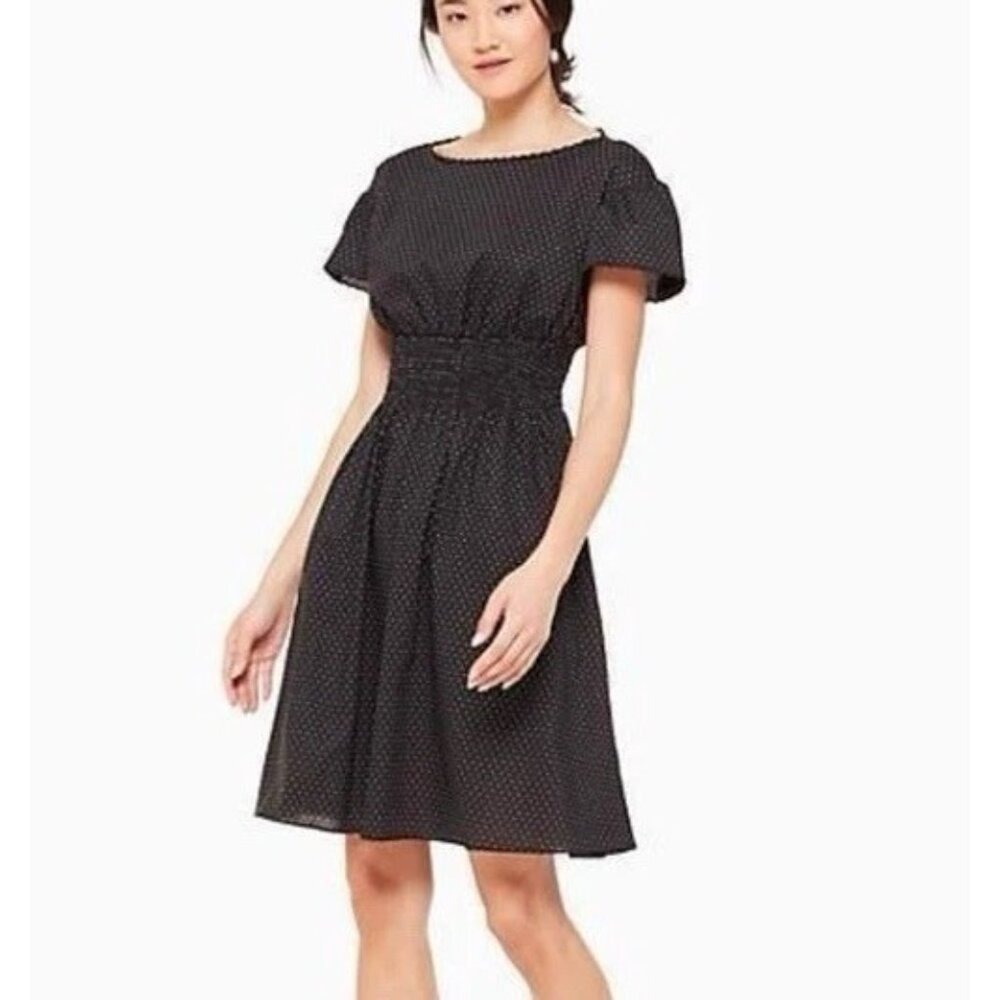 Kate Spade New York Black Pin Dot Scallop Poplin Dress Size Small NWT